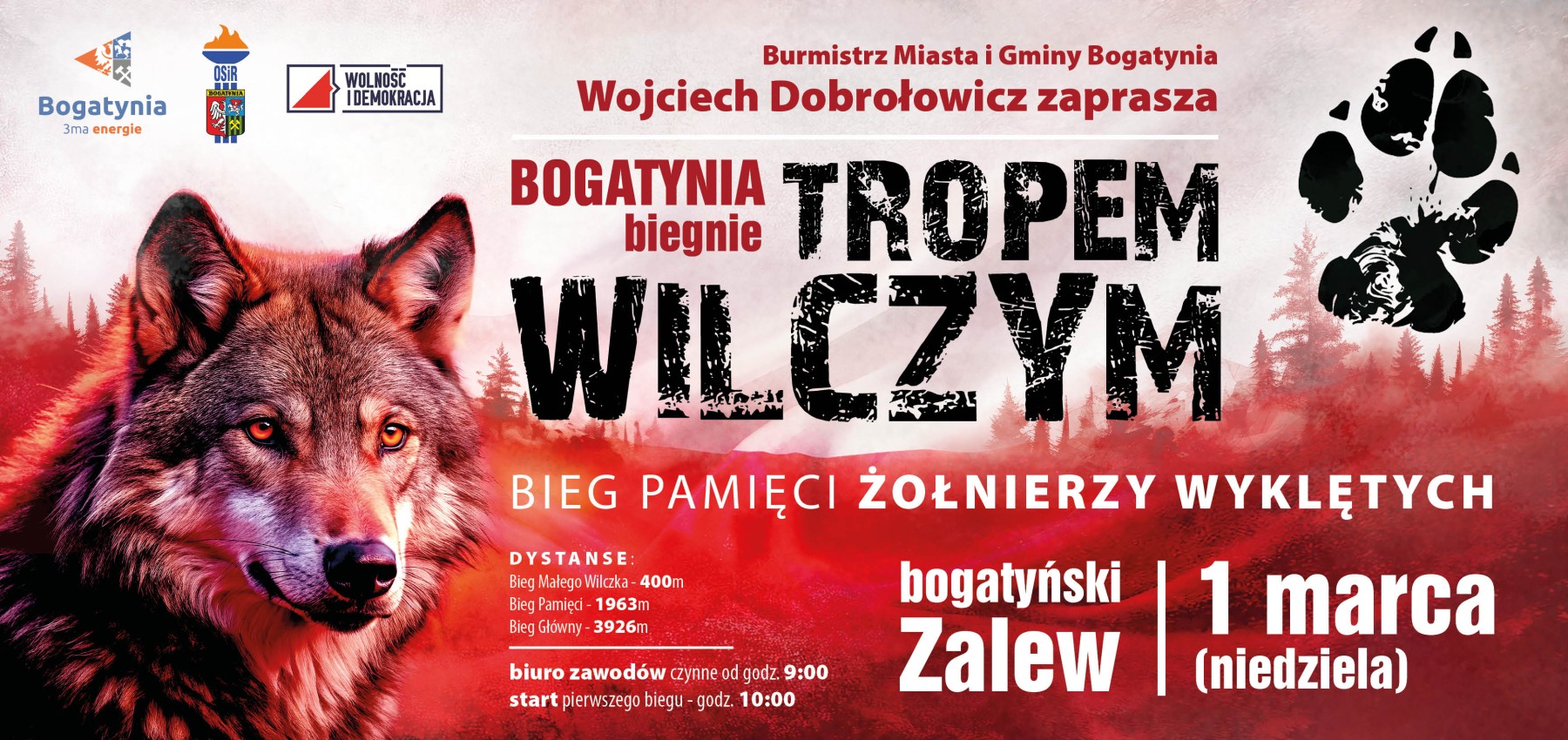 Bogatynia biegnie Tropem Wilczym